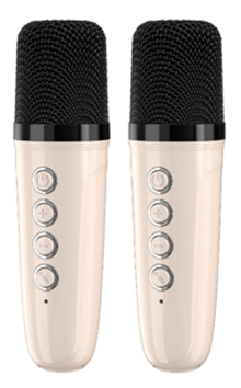Bluetooth Karaoke Speaker W/ Dual Wireless Microphone